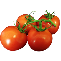 Rajčata 1kg