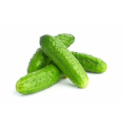 Okurky nakládačky 1kg