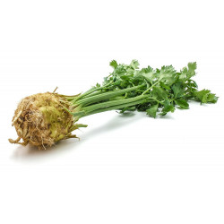 Celer (kg)